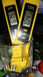 1000133954.jpg