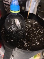 IMG_20260919_103801.jpg