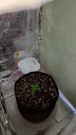 1000134010.jpg