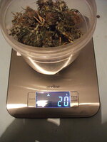 DSCF3212.JPG