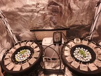 IMG_20260922_123506_667.jpg