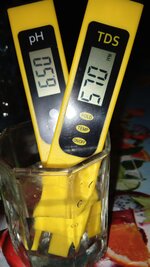 1000134125.jpg