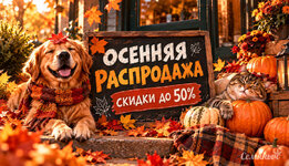 osennyaya-rasprodazha__wCGUeC2TgAy3DBlu.jpg