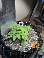 IMG_3064.jpeg
