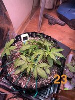 IMG_3102.jpeg