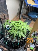 IMG_3112.jpeg