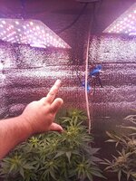 1000011021.jpg