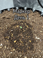 5737EFA7-785D-4A50-B8EB-7F1A21C4ED33.jpeg
