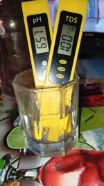 1000134329.jpg