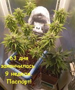 1000024780.jpg