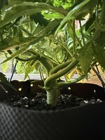 IMG_0901.jpeg