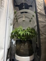 IMG_0903.jpeg