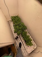IMG_5448.jpeg