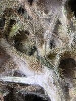 20260924_142749.jpg