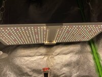 IMG_4714.jpeg