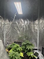 IMG_3859.jpeg