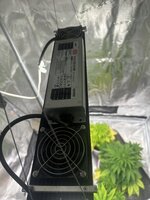 IMG_3905.jpeg