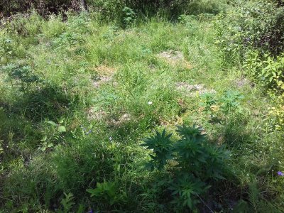 20160503_021716.jpg