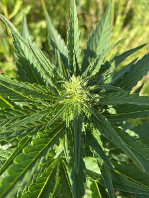 11E0B72E-792E-4609-A230-31166F824186.jpeg