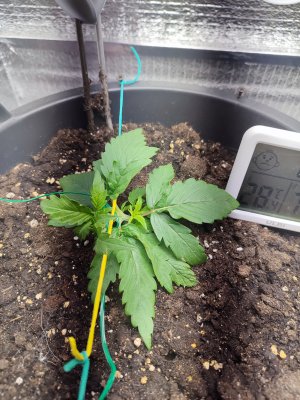 IMG_20220711_000500.jpg