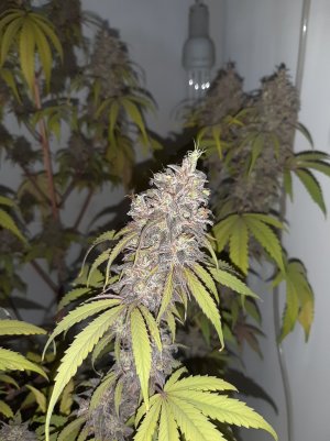 20220712_110431.jpg
