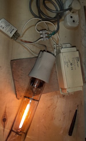 20220714_213742.jpg