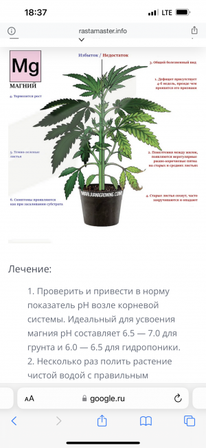 C0922635-BED8-4D3B-AF55-011DB37FC9F8.png