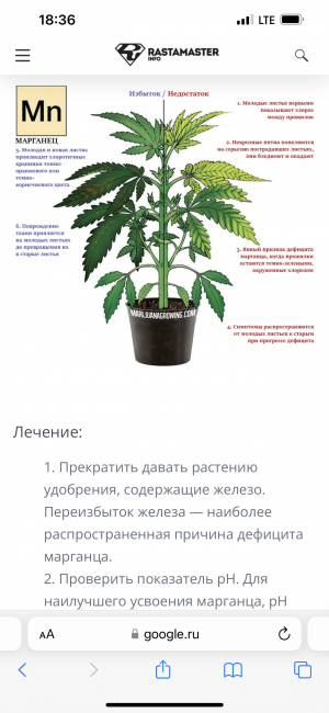 C7C8B669-F4B7-4C23-B0A8-58BA0DCAE09F.png