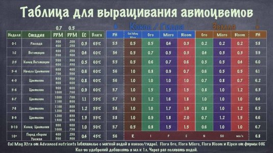A54E3F96-3092-4CEE-BE69-0C06546E6084.jpeg