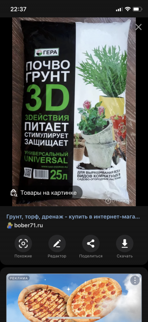 99EFC4F6-3DD9-47FA-9BD1-09F0836BD9E7.png