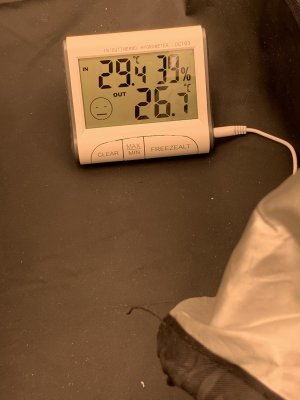 234669E2-1587-42BD-8DA0-0BF78D5C3B67.jpeg