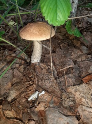 20220731_153934.jpg
