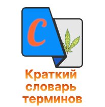 2-slovar-terminov.jpg