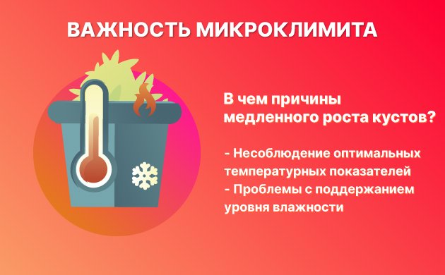 неподходящий микроклимат