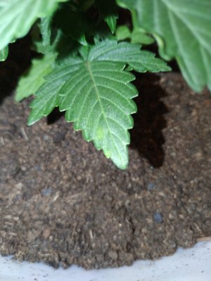 IMG_20220819_095538.jpg
