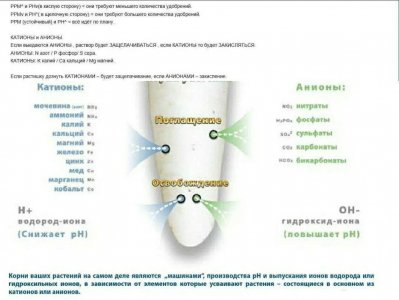 S20831-163048(1)(1)(1).jpg