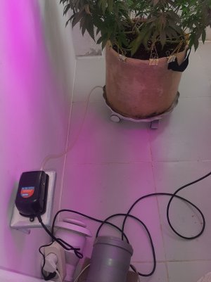 20220906_133448.jpg