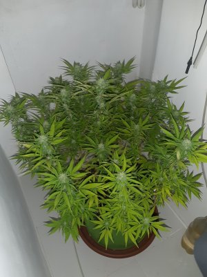 20220913_123116.jpg