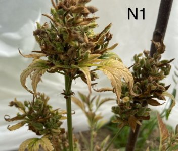 22.07.22 3.jpeg