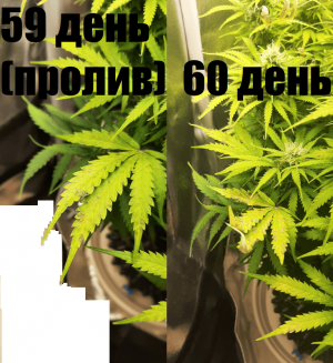 1664990427500.png
