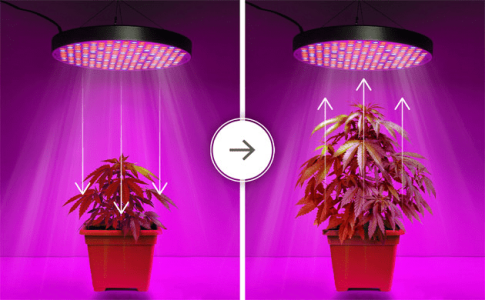 1618849851125.png 1618849851125.png