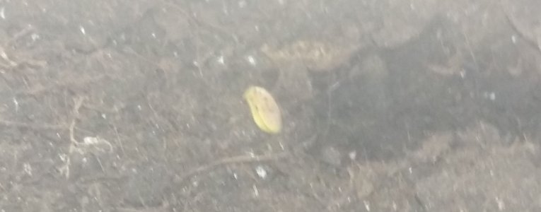 IMG_20210528_222002.jpg