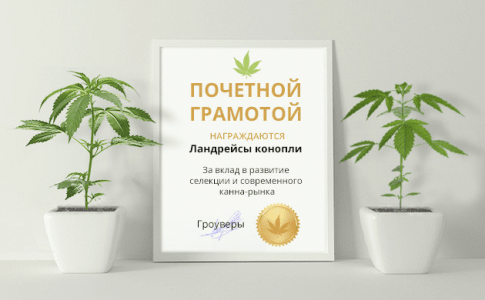 1624442258212.png