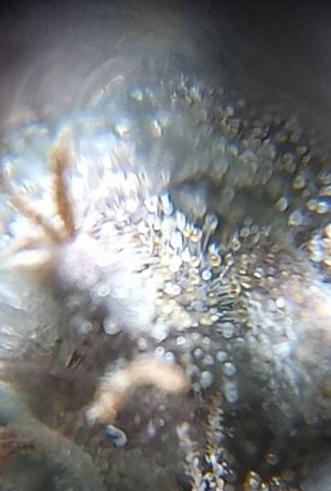 mir_20221017_204031.jpg