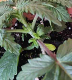 P21019-091526(1).jpg