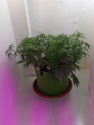 20221024_102223.jpg