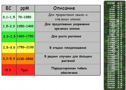 S21025-105003(1).jpg