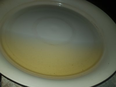 20221025_182526.jpg