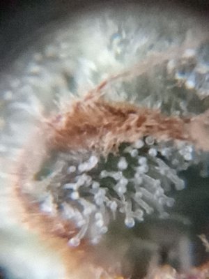 mir_20221008_160550.jpg