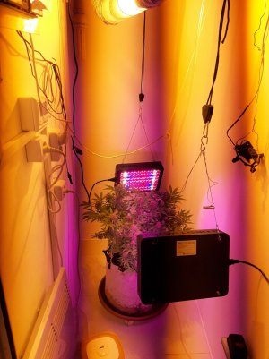 20221031_140656.jpg